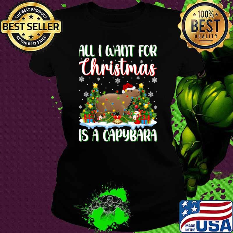 Xmas Lighting Santa All I Want For Christmas Is A Capybara T-Shirt