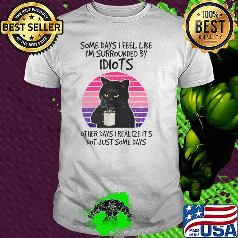 Some Days I Feel Like I'm Surrounded By Idiots Black Cat Vintage Sunset T-Shirt