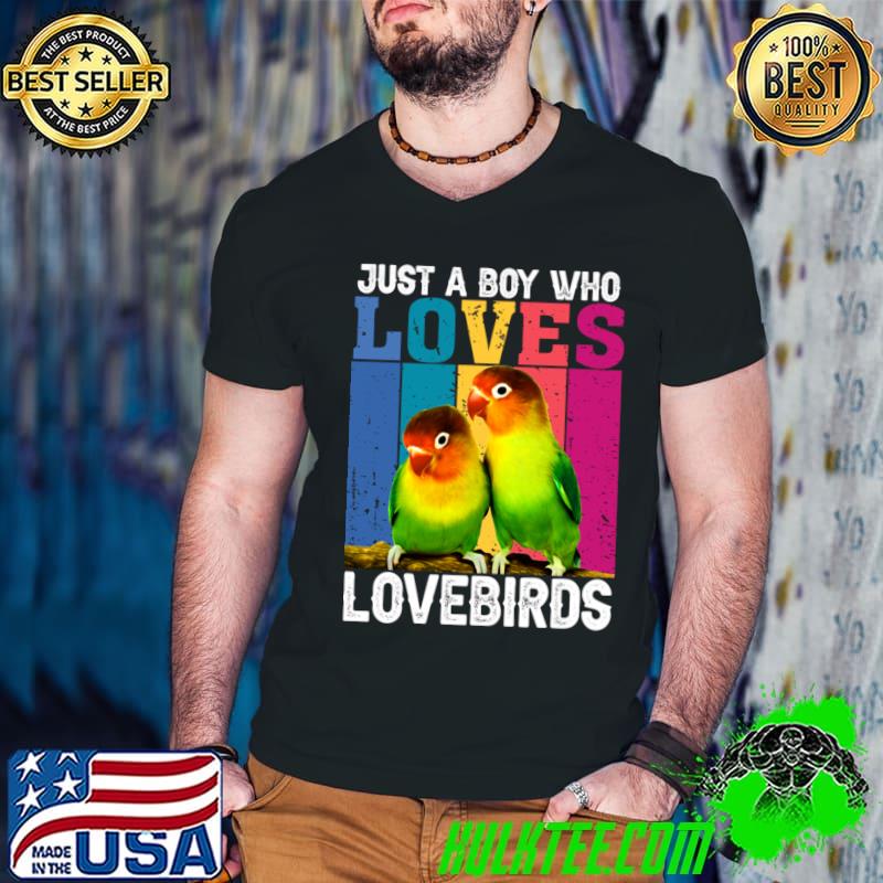 Just A Boy Who Loves Eternal Devotion Everlasting Lovebirds Retro T-Shirt Guys V Neck Just A Boy Who Loves Eternal Devotion Everlasting Lovebirds Retro T-Shirt Guys V Neck