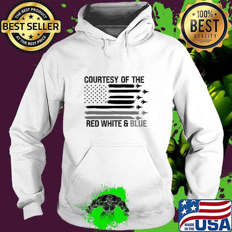 Courtesy Of The Red White And Blue Plane American Flag T-Shirt