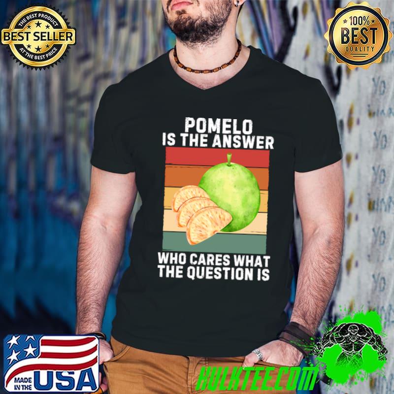 Pomelo Is The Answer Who Cares What The Question Is Retro T-Shirt