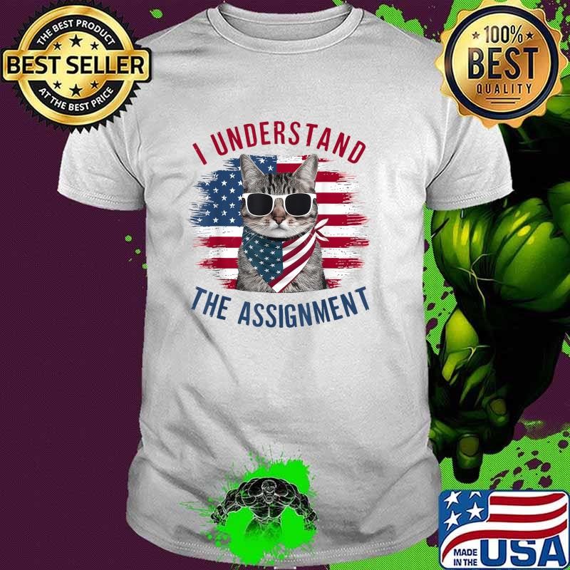 I Understand The Assignment Cat Childless Cat Lady Usa Flag T-Shirt