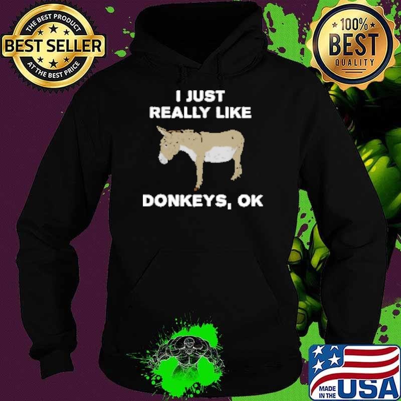 I Just Really Like Donkeys Ok Hoodie