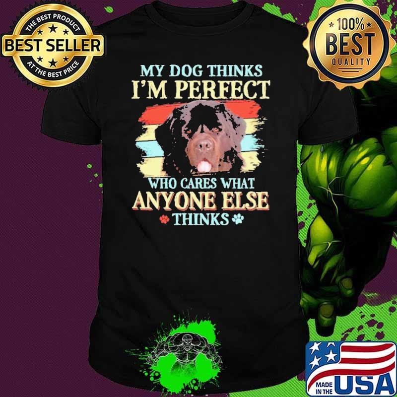 Newfoundland my dog thinks Im perfect who cares what anyone else thinks shirt