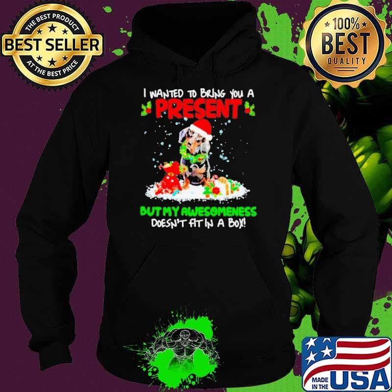 Santa Dachshund I Wanted Bring You A Present But My Awesomeness Doesn’t Fit In A Box Christmas Hoodie