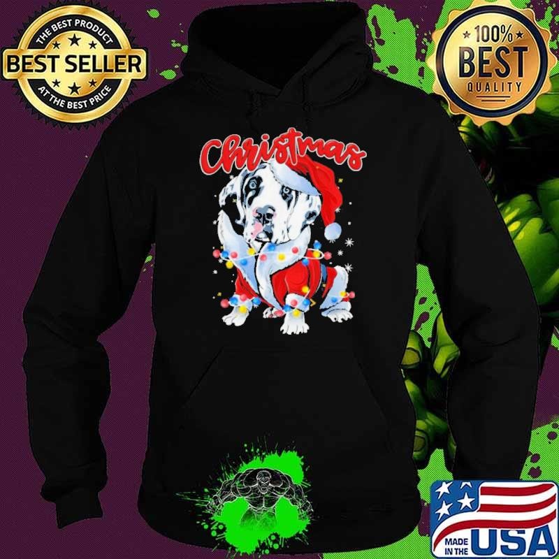 Xmas Lights Great Dane Dog Christmas Pajama Idea Hoodie