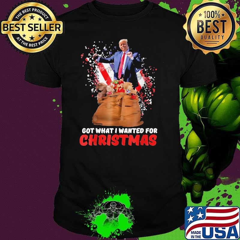 Got What I Wanted For Christmas Trump Pajamas 2024 Usa Flag T-Shirt