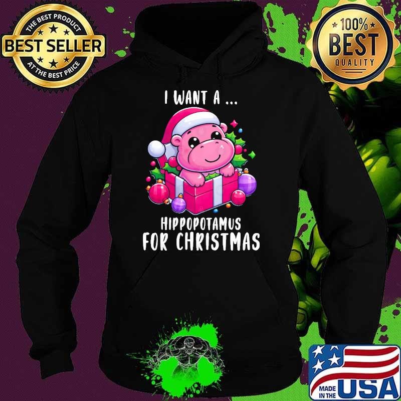I Want A Hippopotamus For Christmas Hoodie